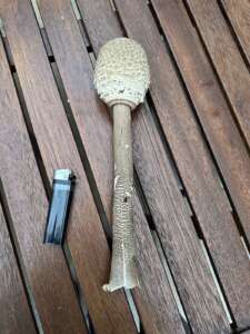 Parasol